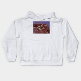 Mandelbulb Stadium Arcadium Kids Hoodie